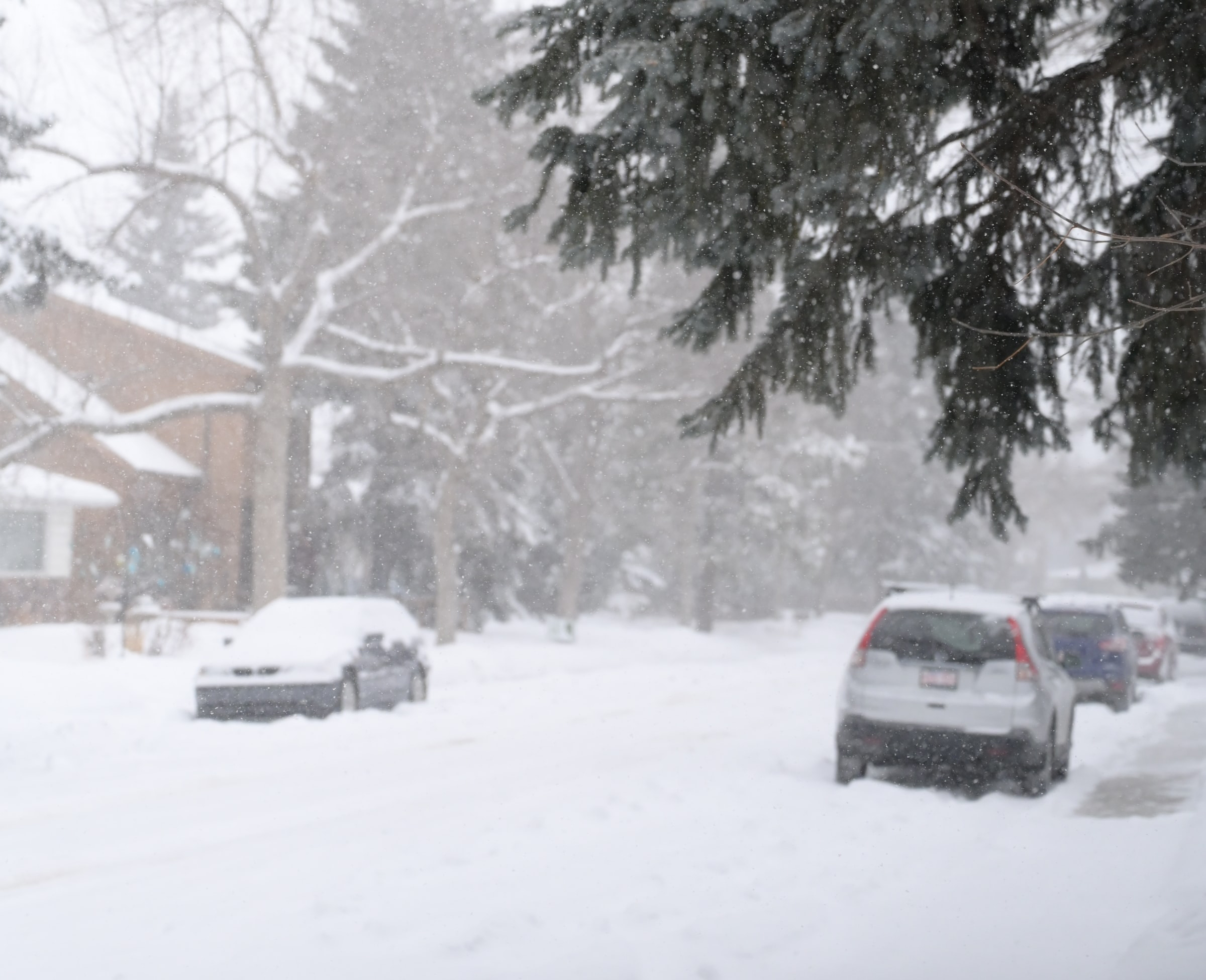 Cars parked on a snow-covered street